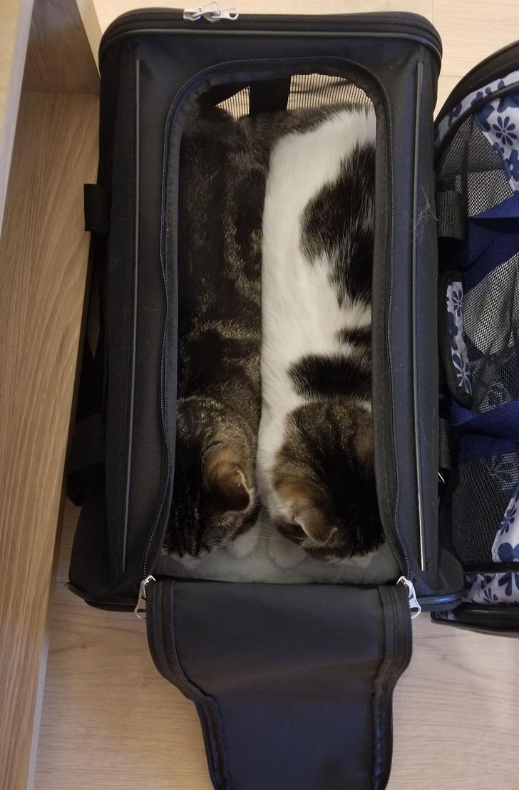 cb71c855eea1b6cf76ac9c31fa