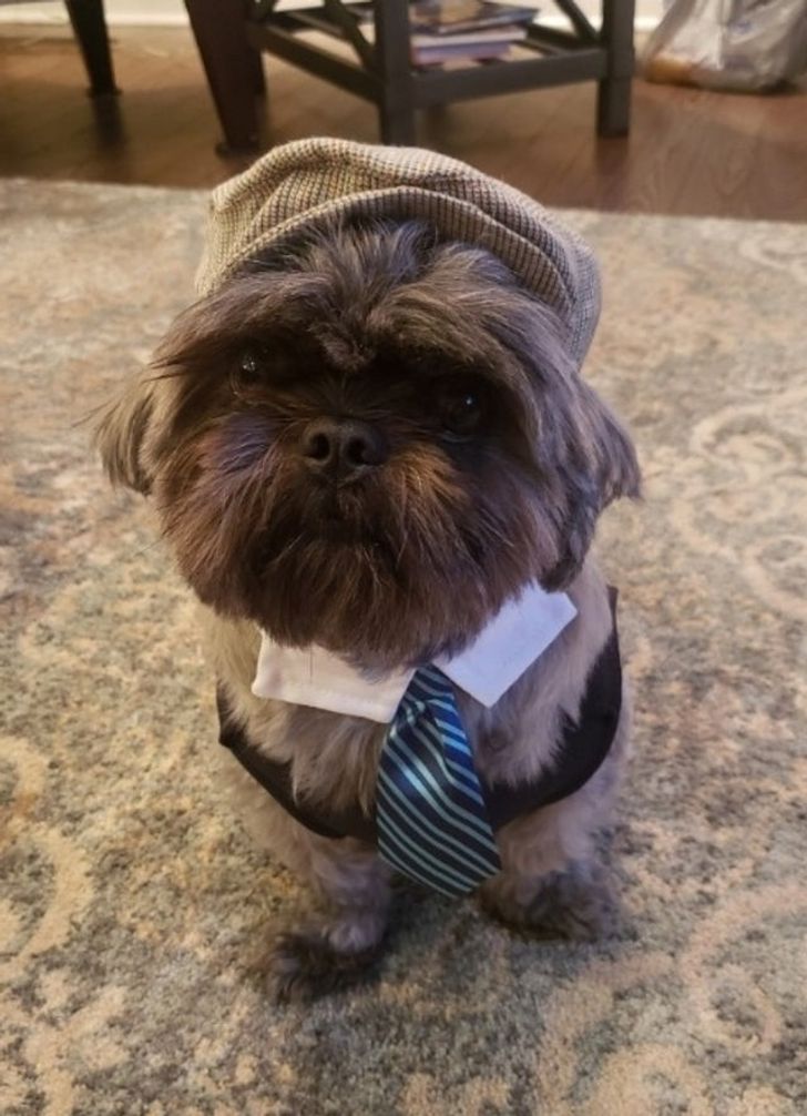 cb7369541c9094ba554c09fe42