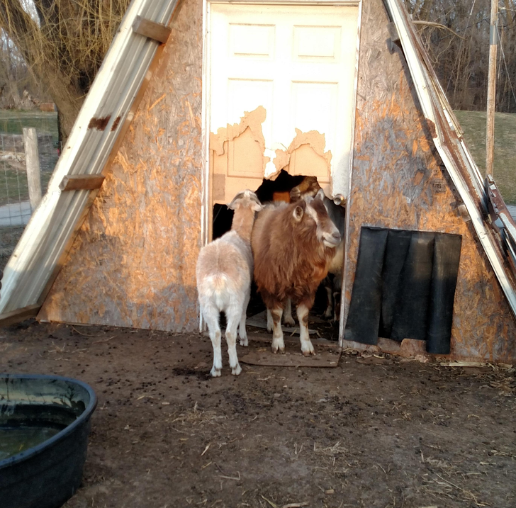 cb79f3594ea945d9ef78dc1a09