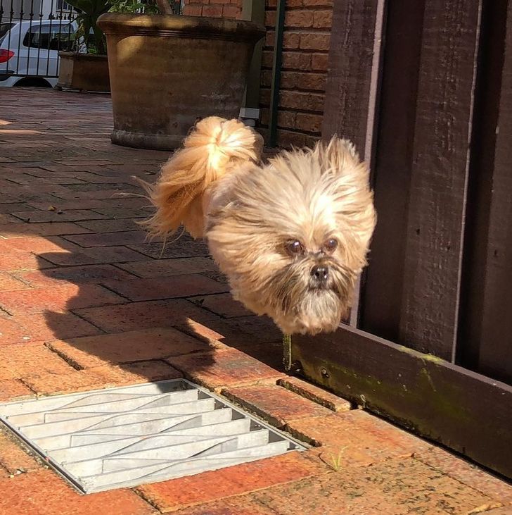 cb81745f31896e3892e2dedbcd