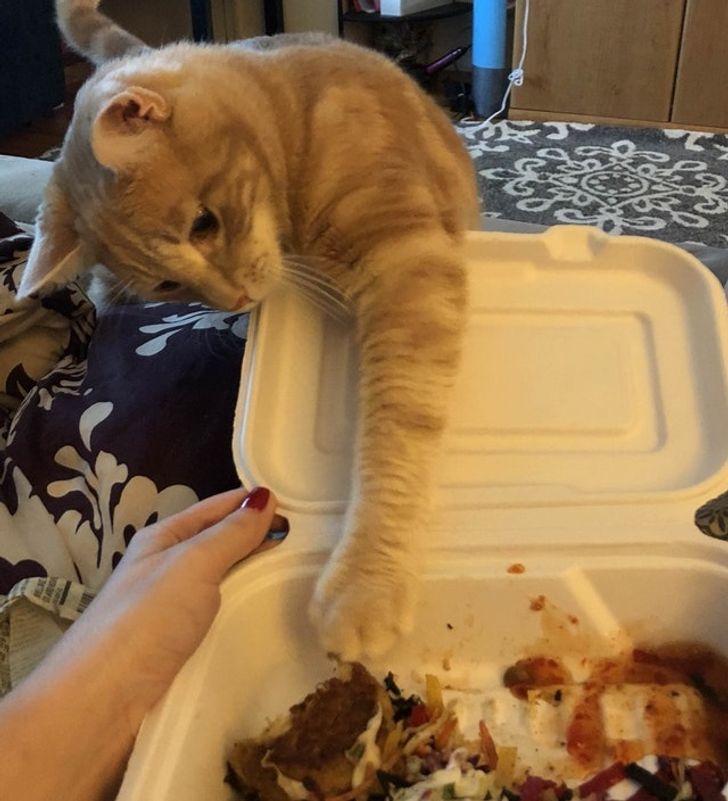 cb866f59c7903c91b46d534830