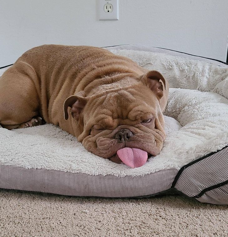 cb87ec568b86db778c93f6d046