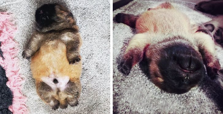 cb8eac5d92b66571ca2c96d630