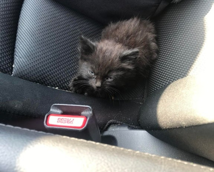 cb902d5359a63b75122263a8b2 cb902d5359a63b75122263a8b2