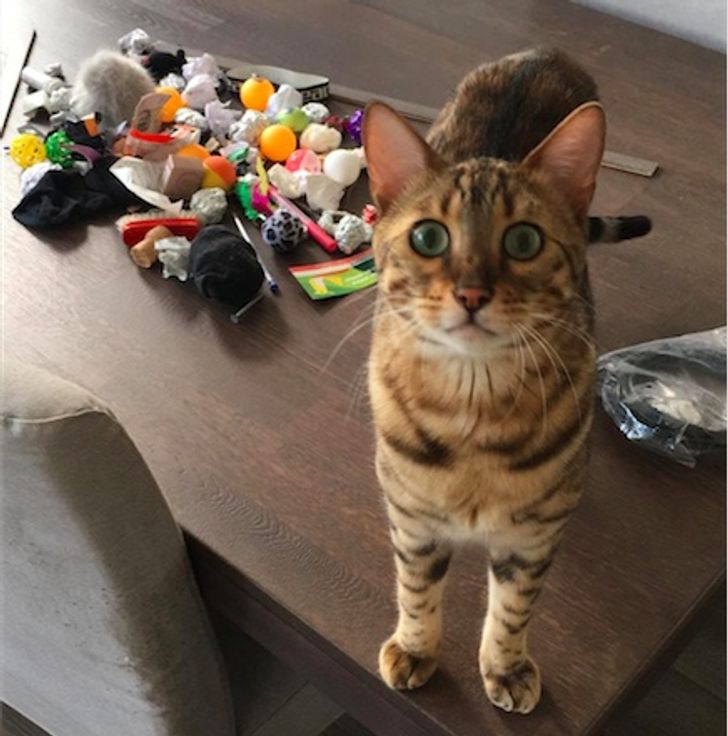 cb91e352da826e64a0e5517913