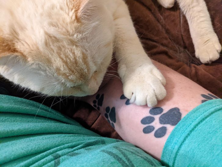 cb923051abbbd7546b9ba20d46