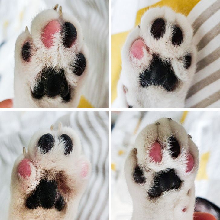 cb9d9d556aa70ce3a0b3488eff