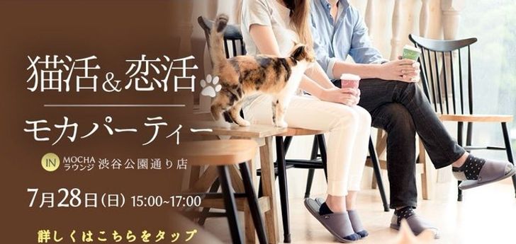 cb9fa15e6f96331775b4740745