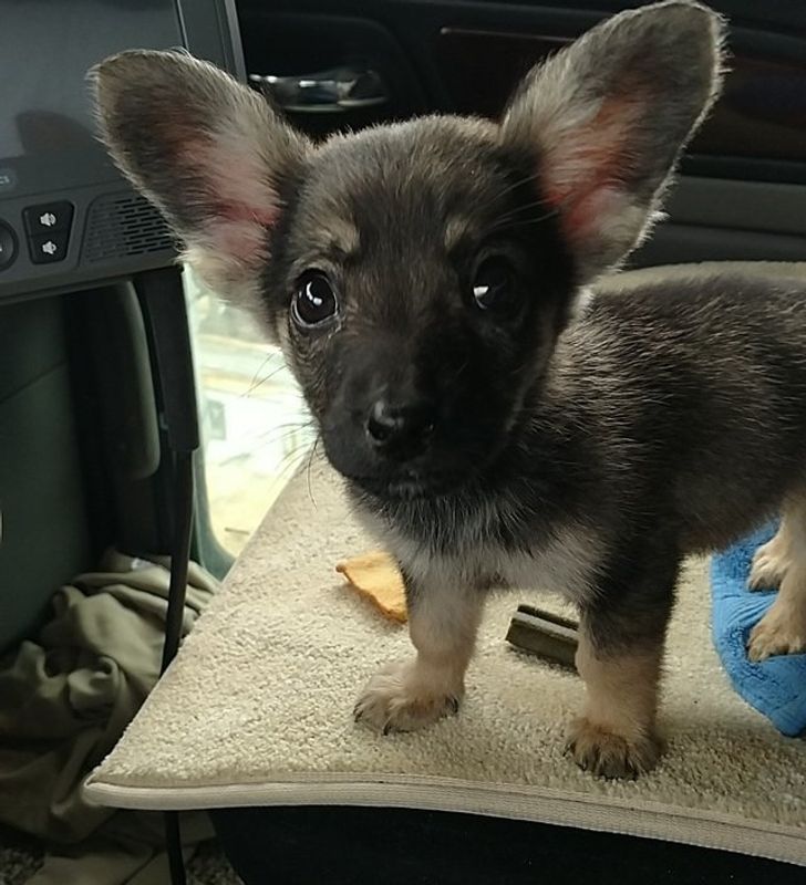 cba4e058fc870b996def05e223