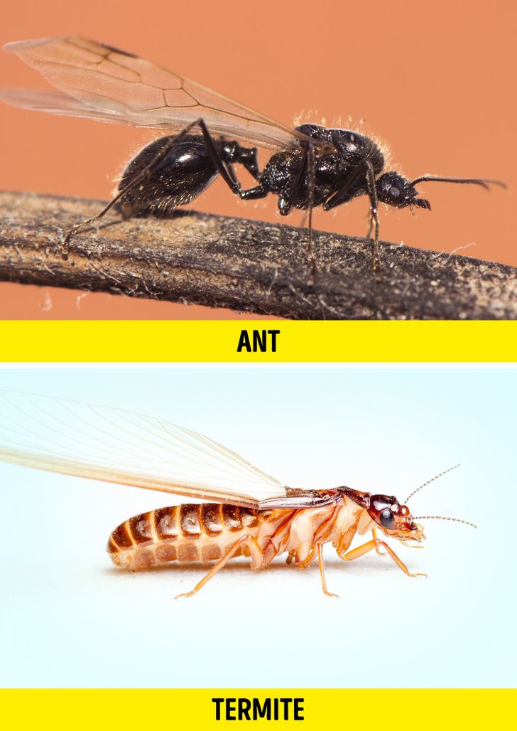 cba6765f34a225c45719fb4e26