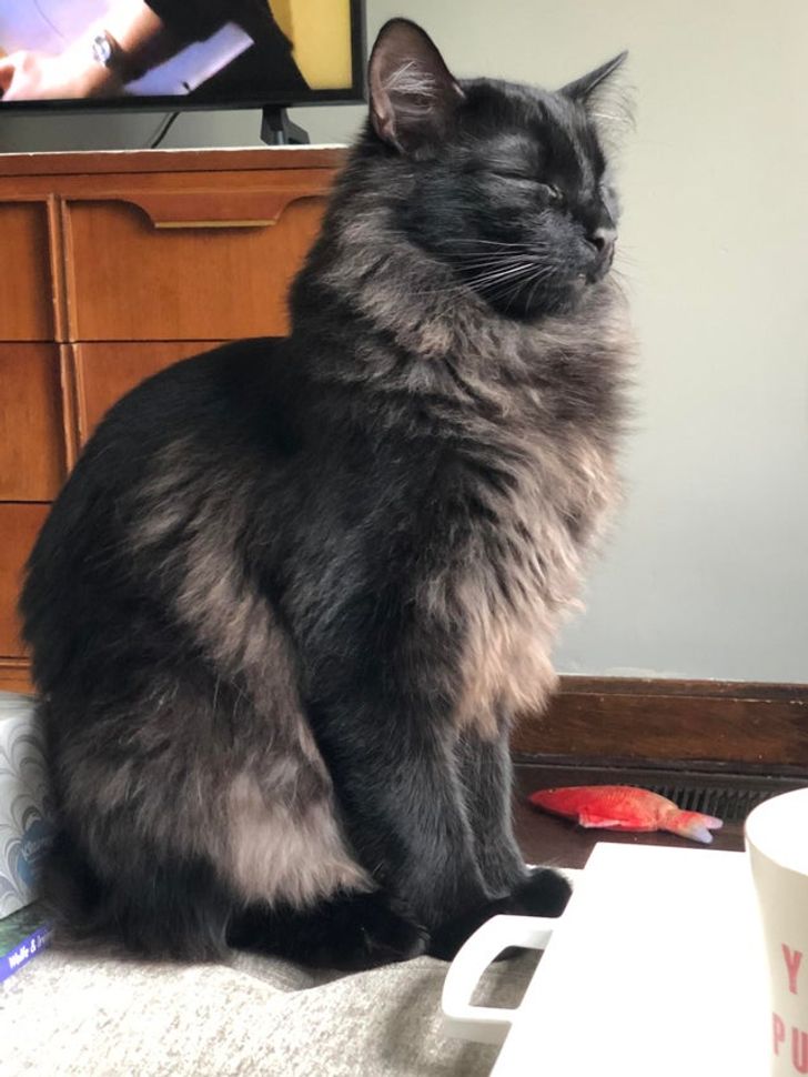 cba7125189a22cec86f7fac759