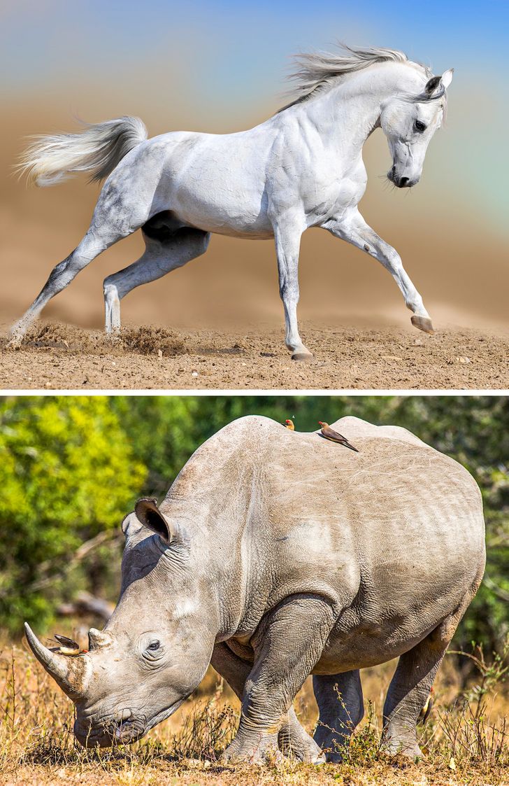 cbaacf532d88114e1642c3824f