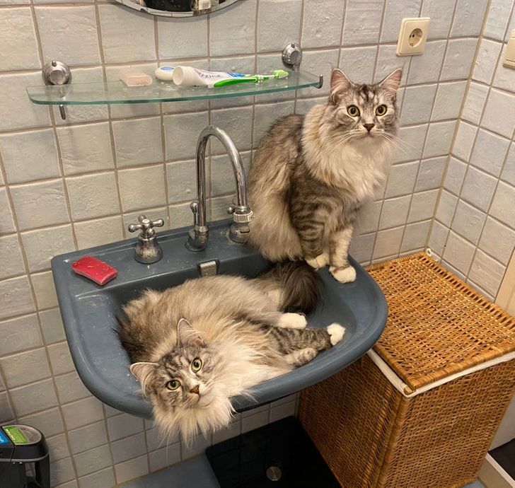 cbb2f05f2f9129287908f2fecd