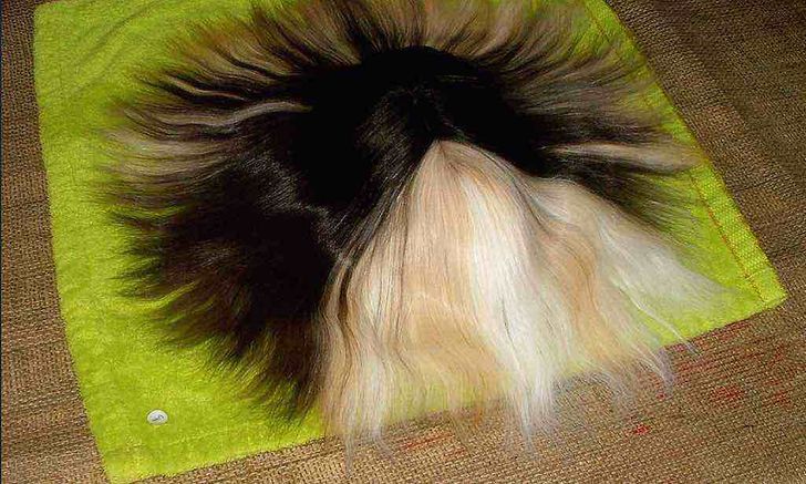 cbb6485b5ba42b254c4603c992