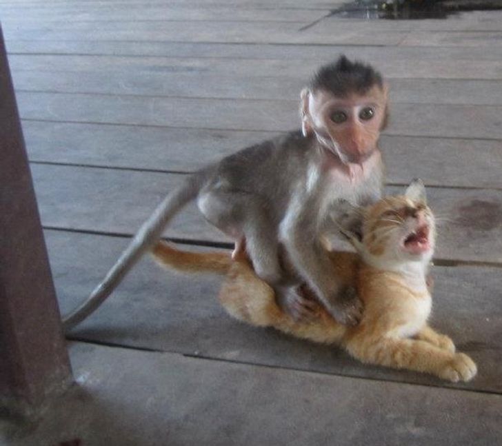 cbc1a857dbbcbb9dbd8ffe8bf8