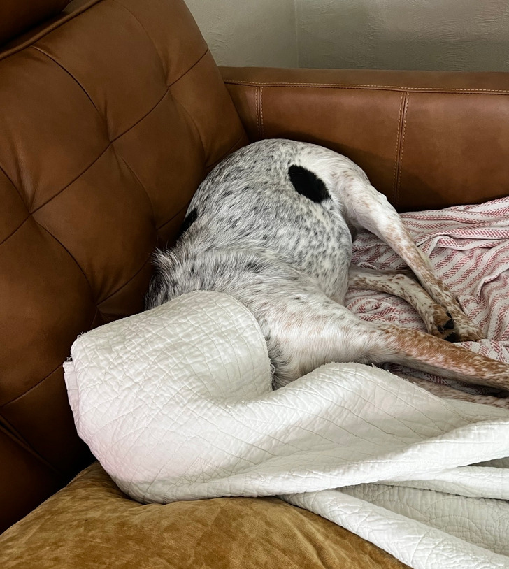 cbc2ff59d48b951143859e6aae cbc2ff59d48b951143859e6aae