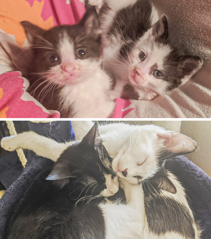 cbc50657639c0e361ed70882ef cbc50657639c0e361ed70882ef