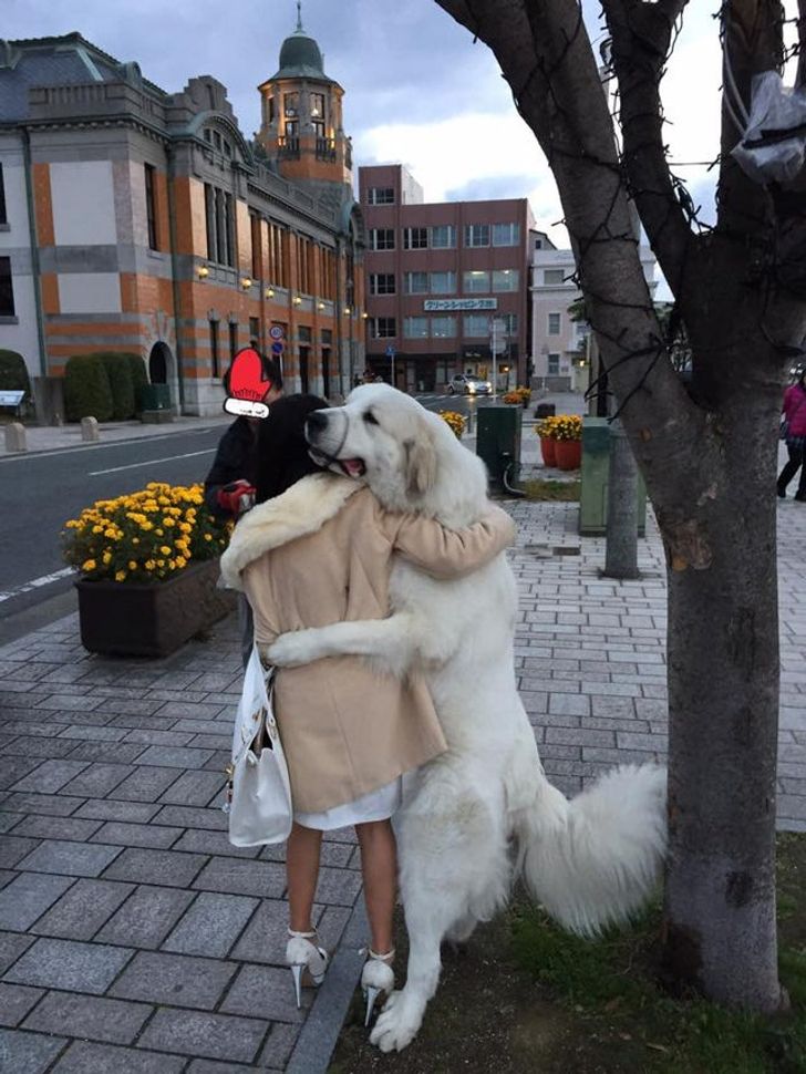 cbc59f51c08d8d14419143f1f8