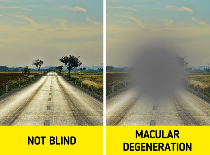 cbc7a85244b4c9e8e12b1d7bd9