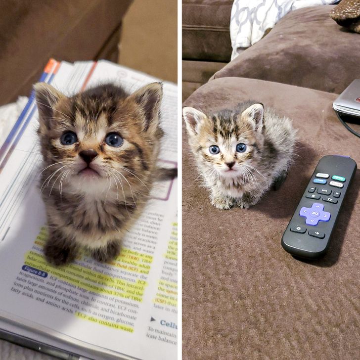 cbc89e5506bb9c1c291dc54f74