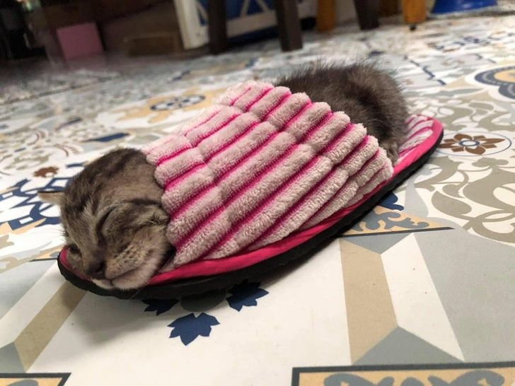 cbd63e528cb949c12056017158