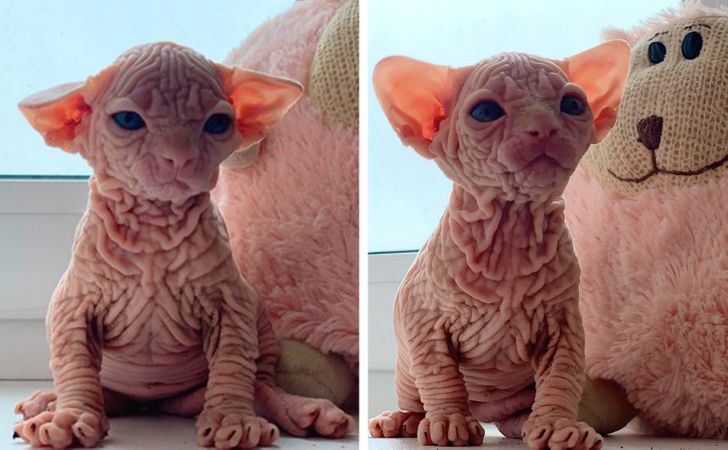 cbddc95abaa18fbed199be02d4