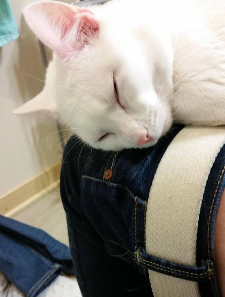 cbdf99534cb5d815684ec95770