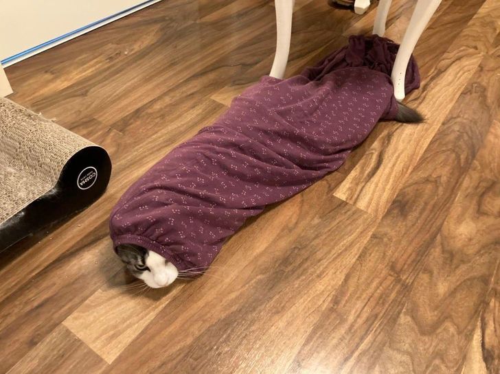 cbe44854539f09eec60462ed0a