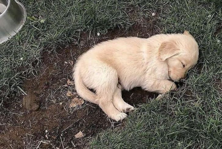 cbe8d254199b056cc12abcb03d