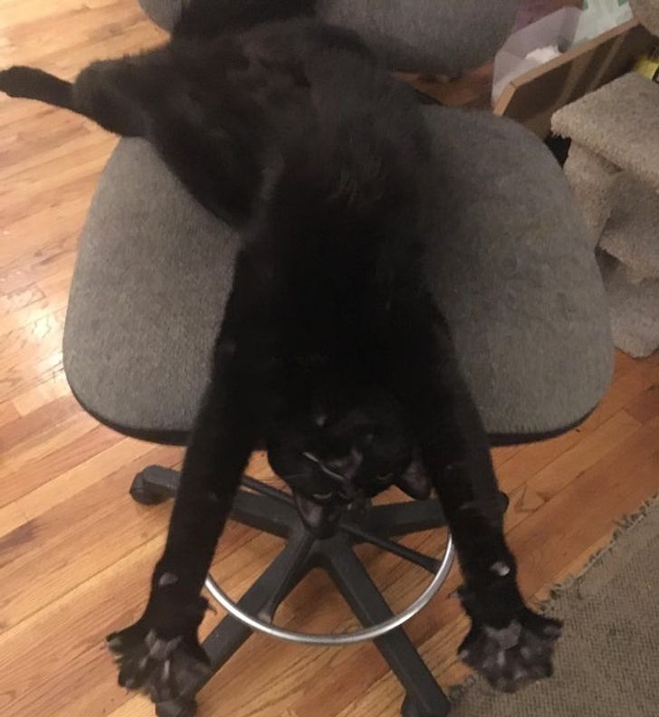 cbf1ee55029deac4c315f77d04