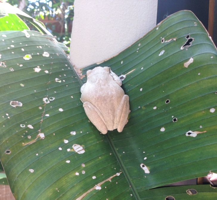 cbf35b523fbb6b1d70725a7fd5