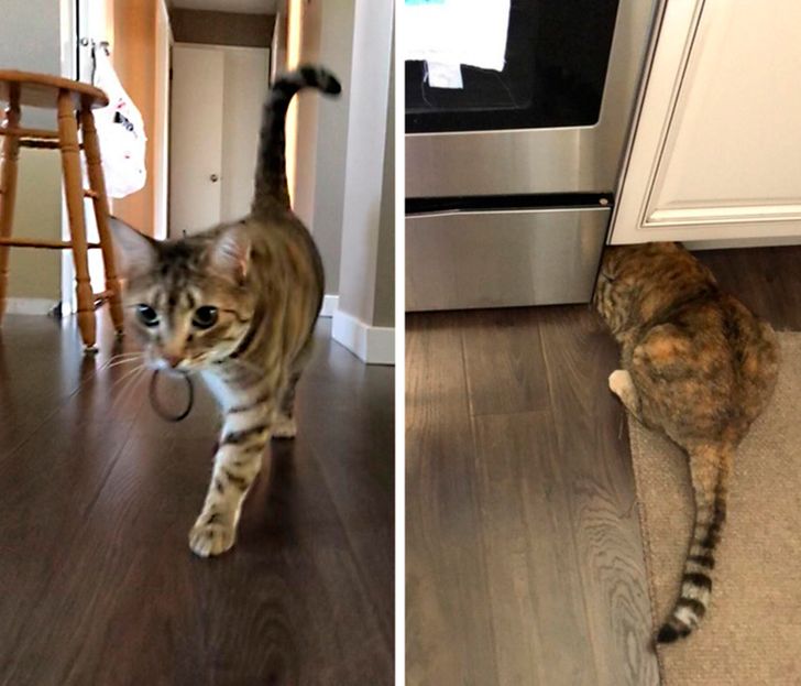 cbf50b57a4beaed23201967100