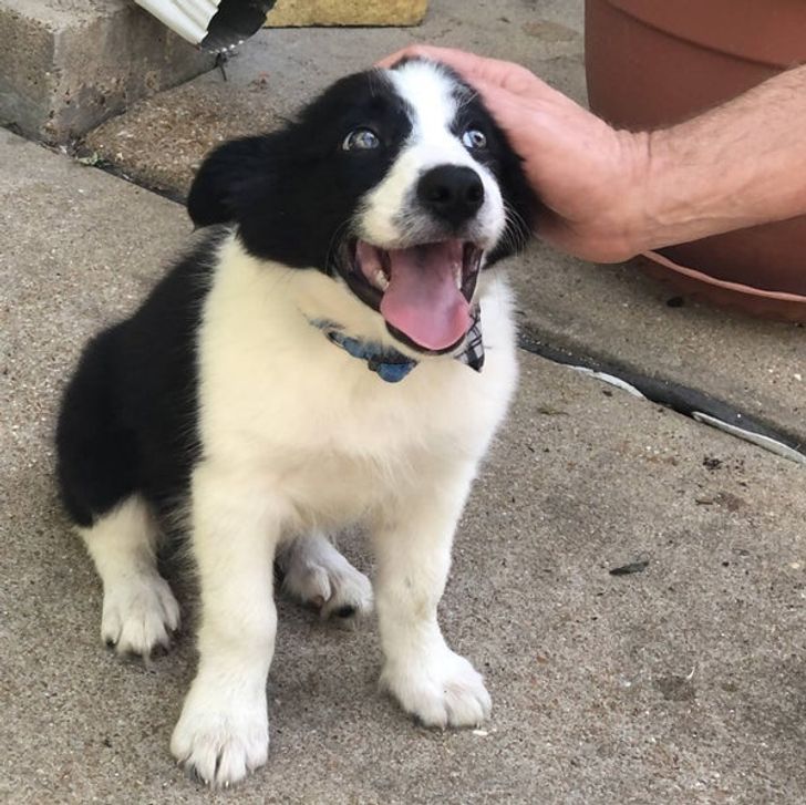 cbfc9a5651a69a7645abff0394