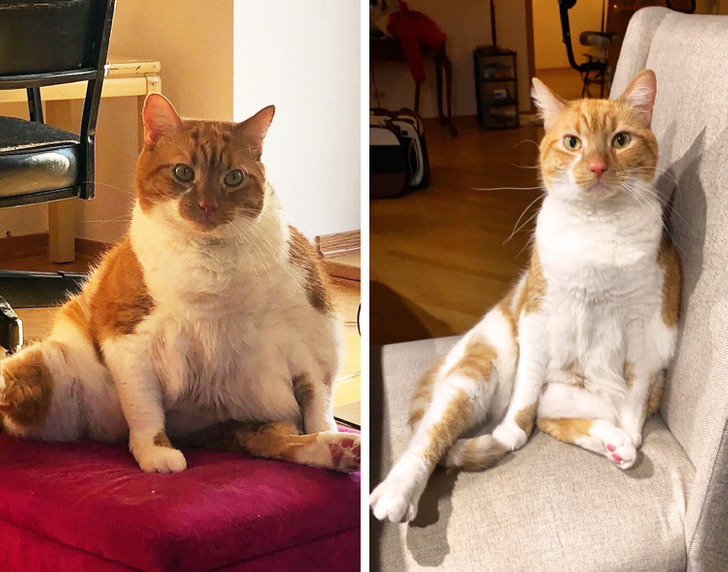 cc10bf57db95441ad2552befbd