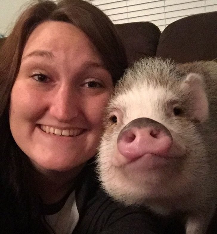 cc17955bfbb785580f1ff4fa26