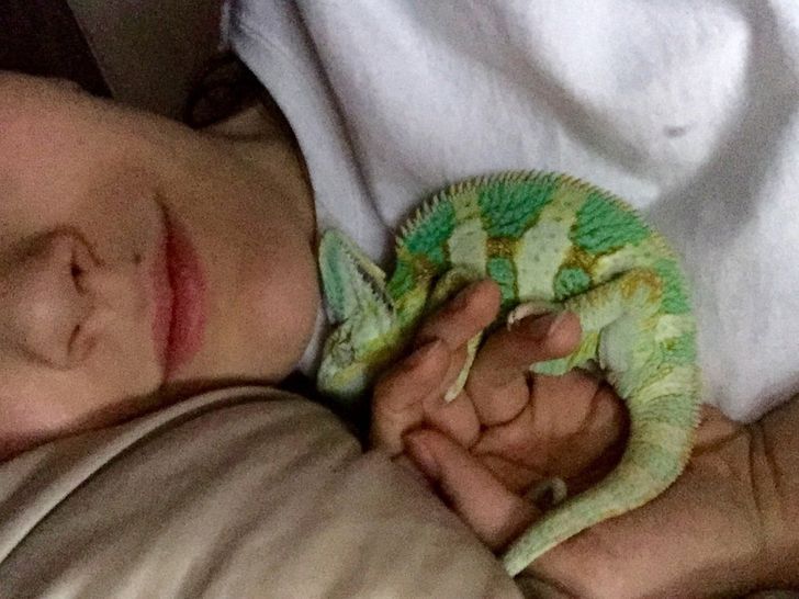 cc1f485b359356ab8c08909530