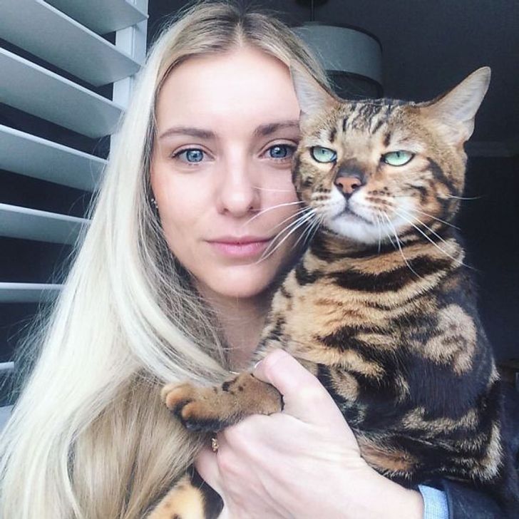 cc21ba5e6f80f8602327e25119