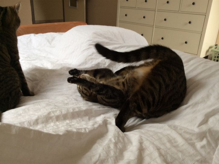 cc252b5e918539539b54770162