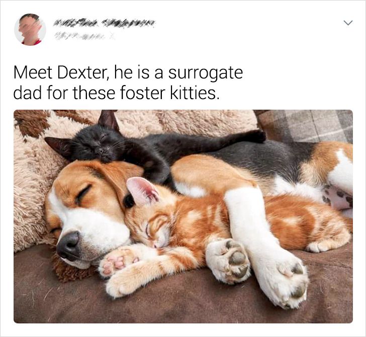 cc29145bcfb5289e40797f138d