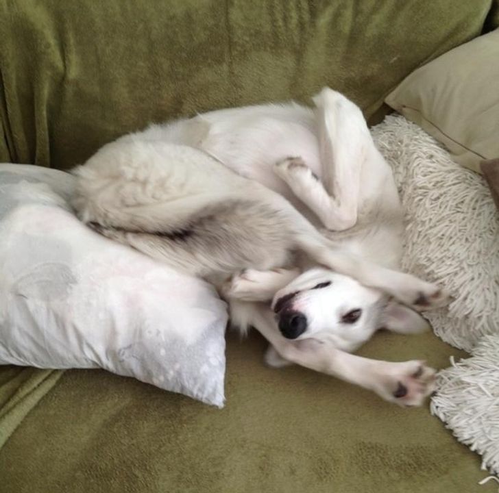 cc37d95b51ba6e66f22b221fa1