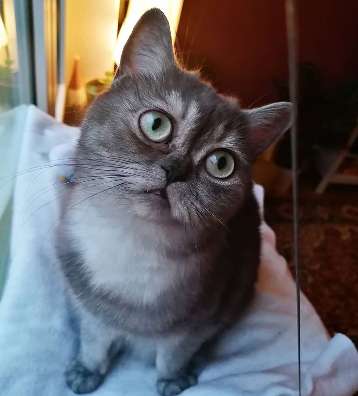 cc3f775fd6a47f3d194f204b9a