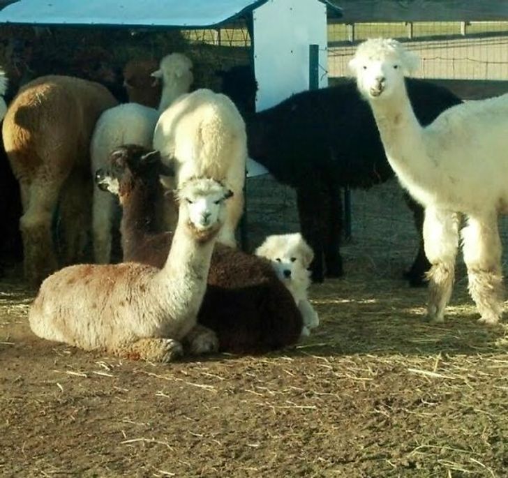 cc42625e1598effa09c5a90b62