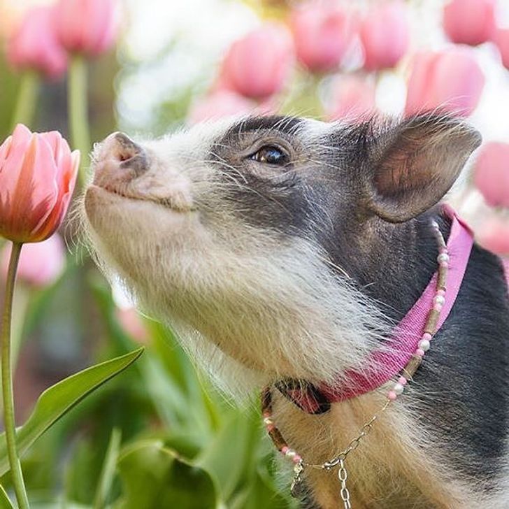 cc450e5564b20e1251c1f940de