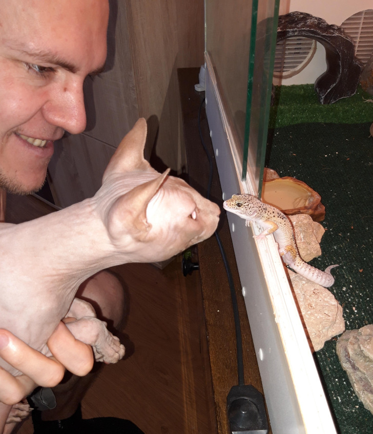 cc46d55f869c44784ae1dc1ad6