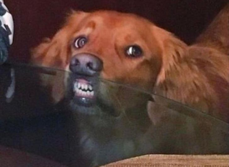 cc496251d5b0eb8de392fb805b