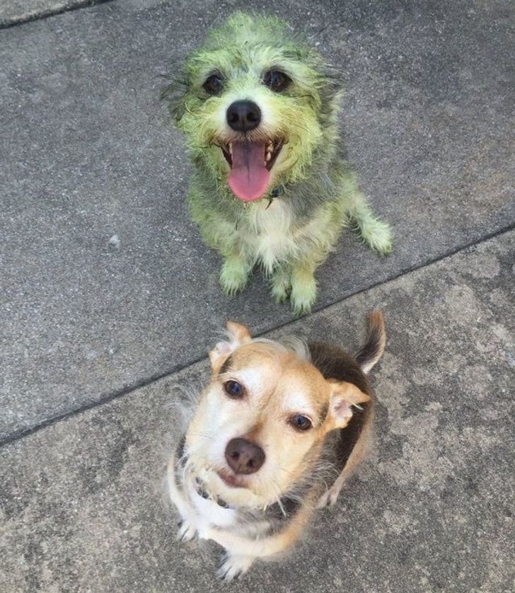 cc4b655df1a8e68c1a429b0bfd cc4b655df1a8e68c1a429b0bfd