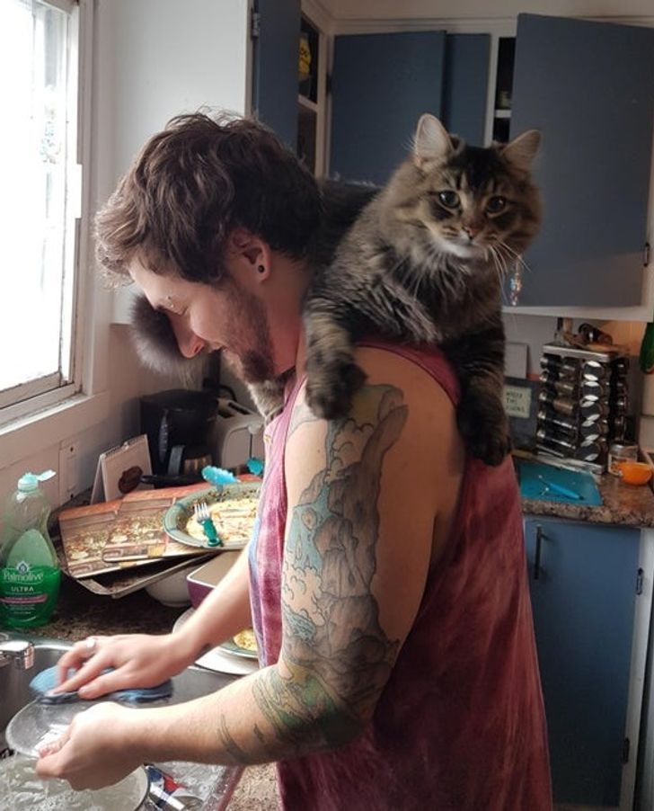 cc53995c5d9f1264d17359369c