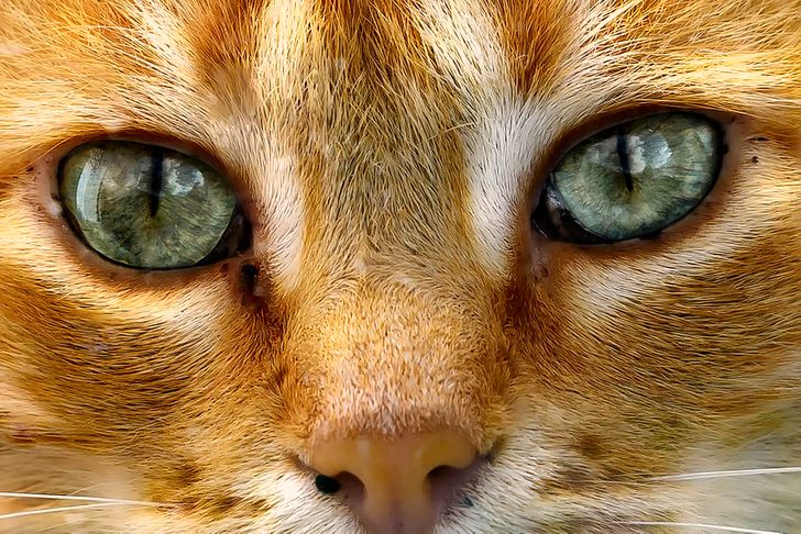 cc5b925270be5d57c0300ff62a