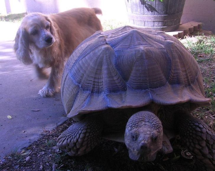 cc62d85f488e4dbe78e478d621