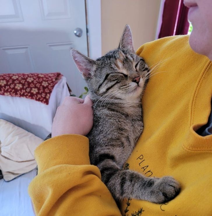 cc74bf5430b1cbb7d3efe2eff7